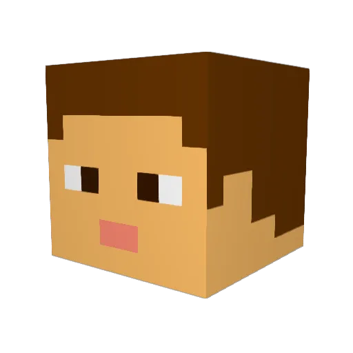 DrewDog91 Minecraft avatar head, 3D render