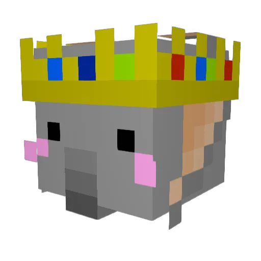 DrewTheElephant Minecraft avatar head, 3D render