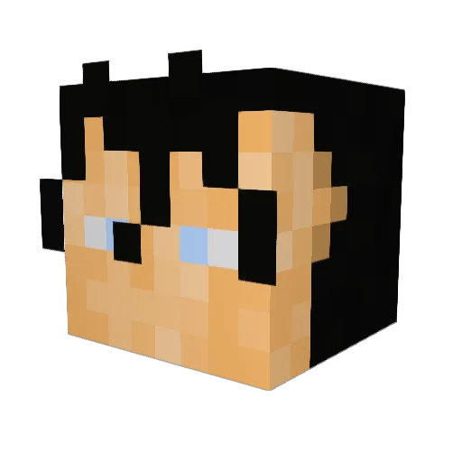 DrewWho30 Minecraft avatar head, 3D render