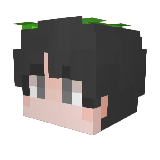 Drew_1 Minecraft avatar head, 3D render