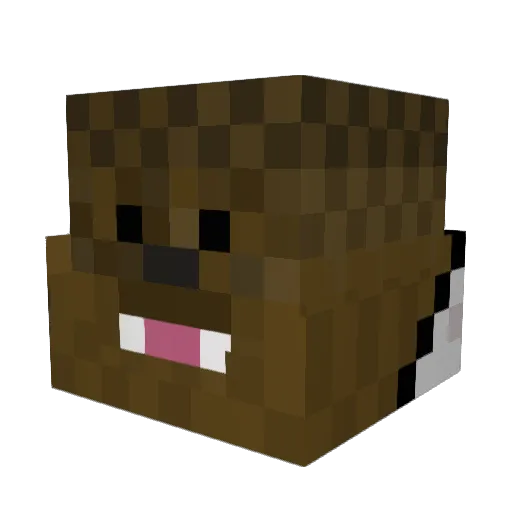 Drew_Drew_101 Minecraft avatar head, 3D render