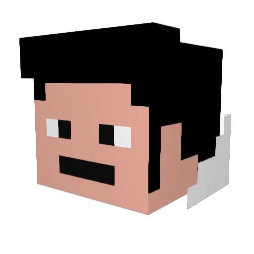 Drewbiw1 Minecraft avatar head, 3D render