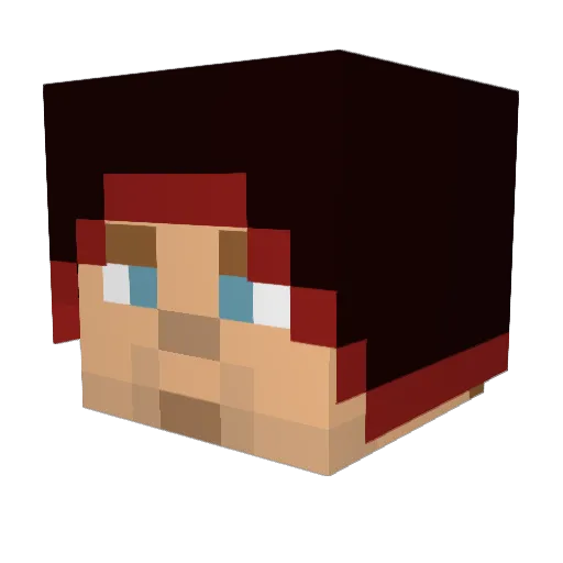 Drewdog435 Minecraft avatar head, 3D render