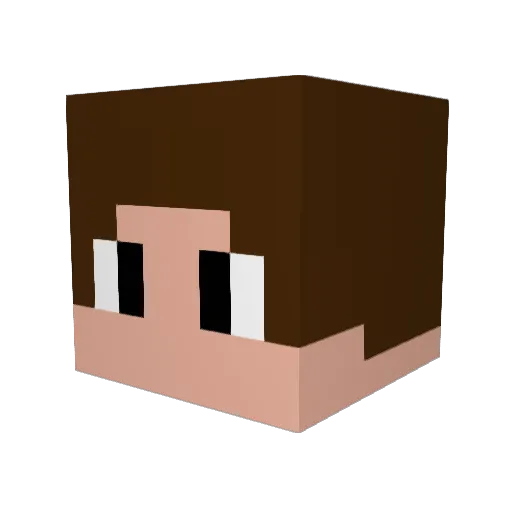 Drewfiant Minecraft avatar head, 3D render