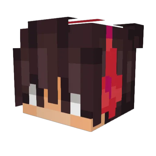 Drewlet Minecraft avatar head, 3D render