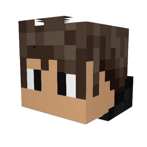 DrewlokZ Minecraft avatar head, 3D render