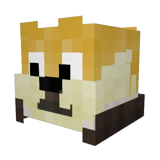 Drewnizzle Minecraft avatar head, 3D render