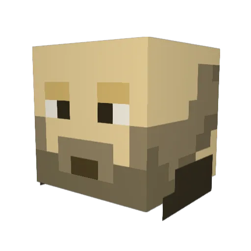 Drewsey2573 Minecraft avatar head, 3D render