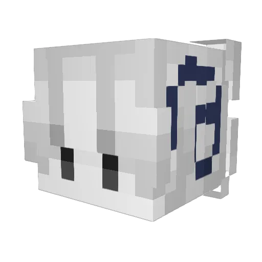 Drewwits0_ Minecraft avatar head, 3D render