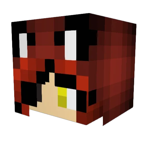 Drewx8 Minecraft avatar head, 3D render