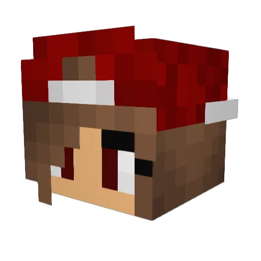 Drewxoxo13 Minecraft avatar head, 3D render