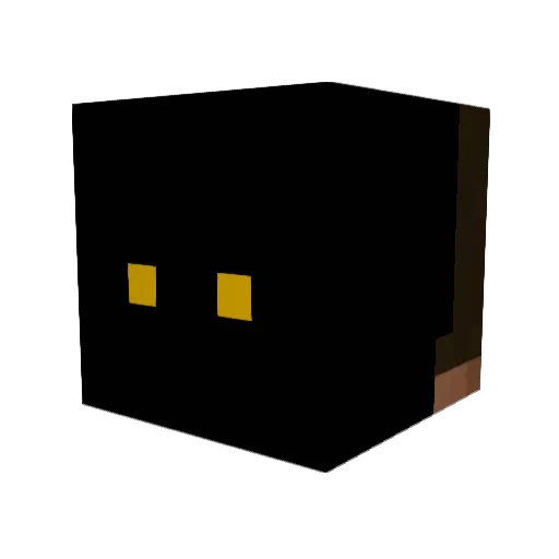 Drewzzaa2315 Minecraft avatar head, 3D render