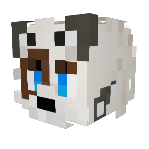DrexxoHD Minecraft avatar head, 3D render