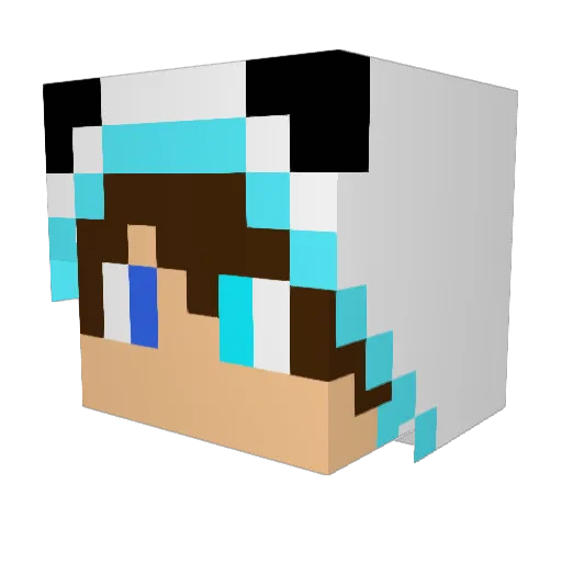 Dreyliam Minecraft avatar head, 3D render