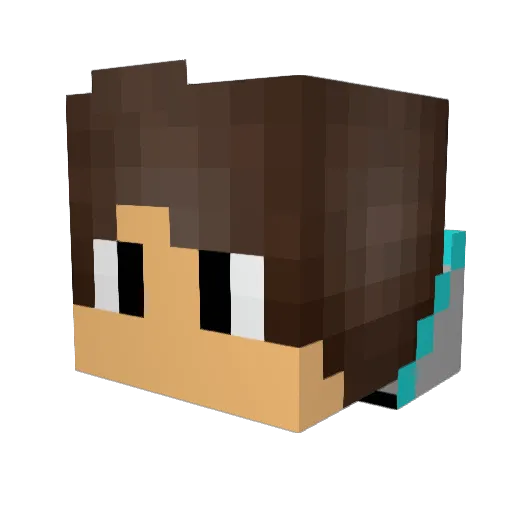 Dreylon1 Minecraft avatar head, 3D render