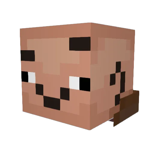 DrezelGamerBoy Minecraft avatar head, 3D render