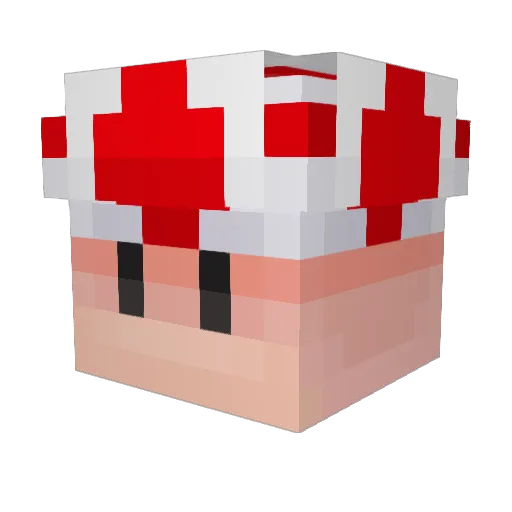 Drfroid2001 Minecraft avatar head, 3D render