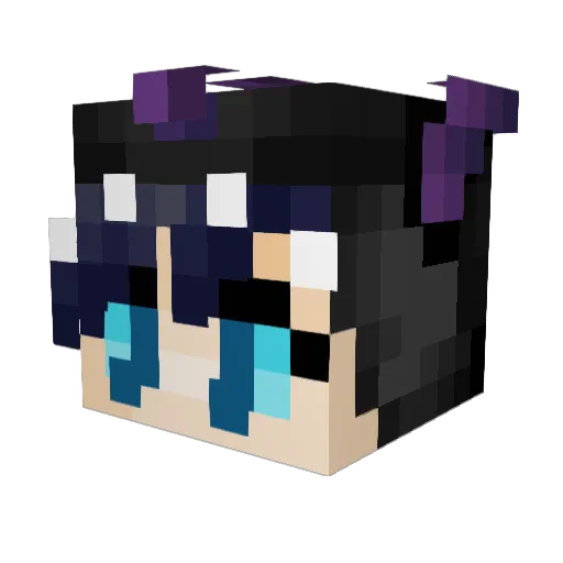 DrgSoul Minecraft avatar head, 3D render
