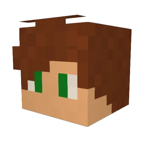 Dridrigoen Minecraft avatar head, 3D render