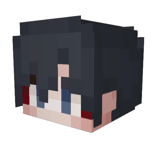 DriedFlower_ Minecraft avatar head, 3D render