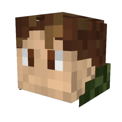 Driedac Minecraft avatar head, 3D render