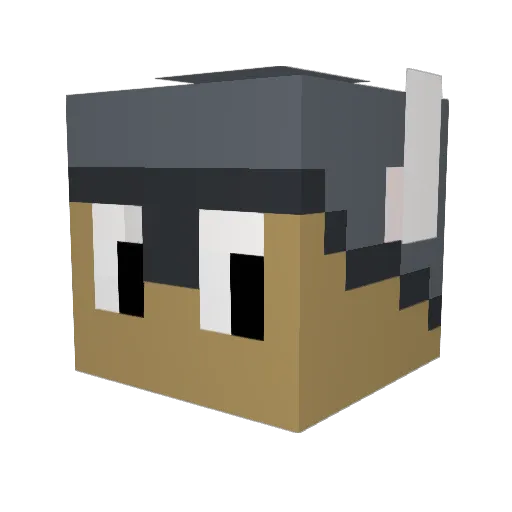 Driffins Minecraft avatar head, 3D render