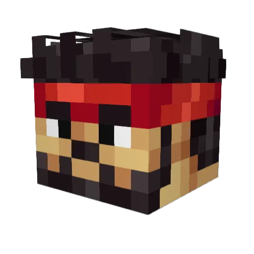 Drifterx7_ Minecraft avatar head, 3D render