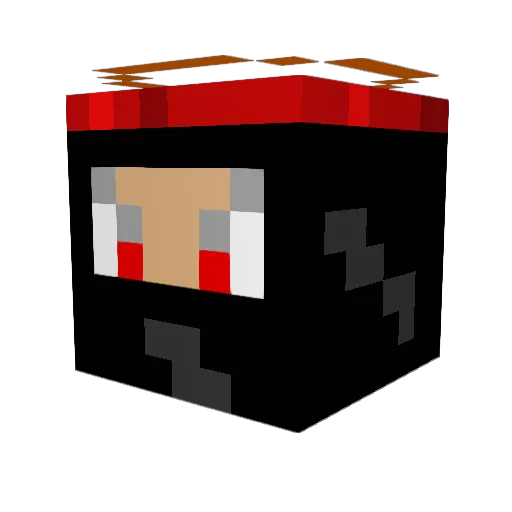 Driftie96 Minecraft avatar head, 3D render