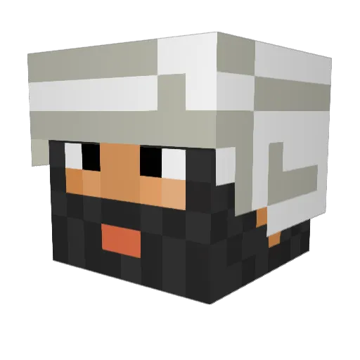 DriftinBimmer52 Minecraft avatar head, 3D render
