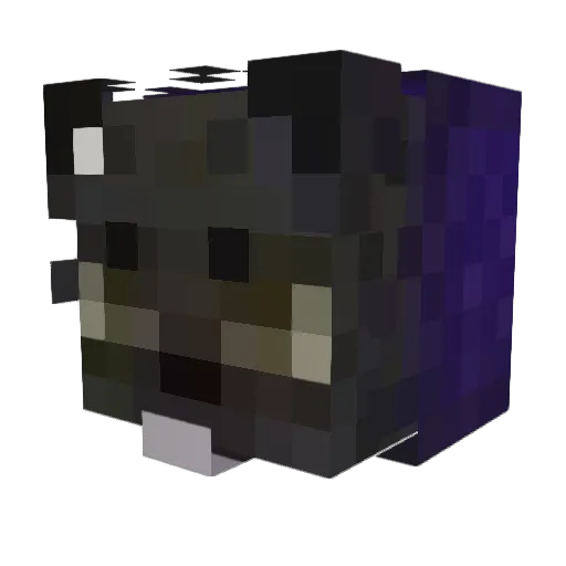 Driftingdawg Minecraft avatar head, 3D render