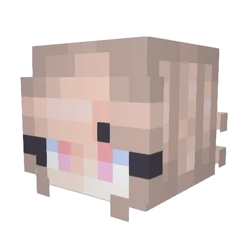 Driftwood Minecraft avatar head, 3D render
