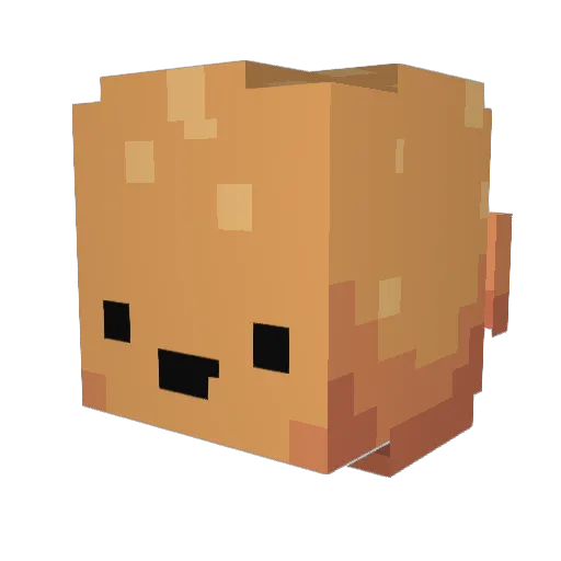 Drigby Minecraft avatar head, 3D render