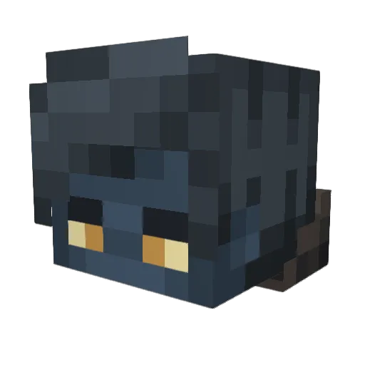 Drimick Minecraft avatar head, 3D render