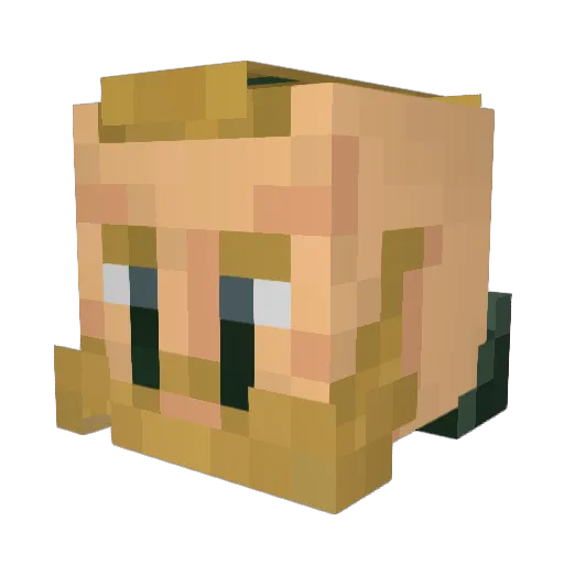 Drimm_95 Minecraft avatar head, 3D render