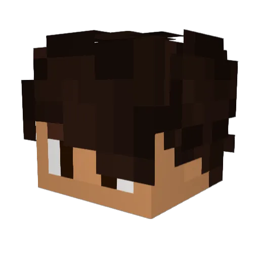 Drinked_ Minecraft avatar head, 3D render