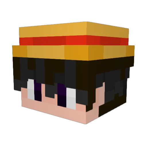 DrinkingBuddy97 Minecraft avatar head, 3D render