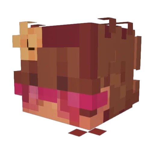 Drinking_Soup Minecraft avatar head, 3D render