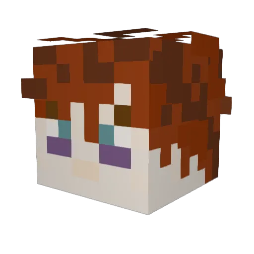 Drinkinlakewater Minecraft avatar head, 3D render