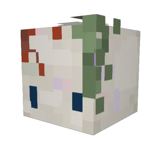 Drinx24 Minecraft avatar head, 3D render