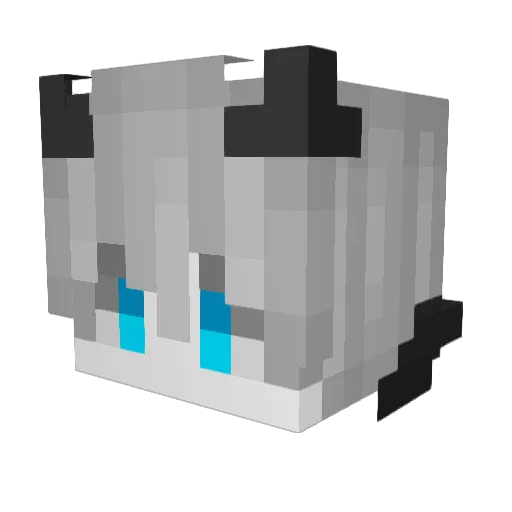 Drioskills Minecraft avatar head, 3D render