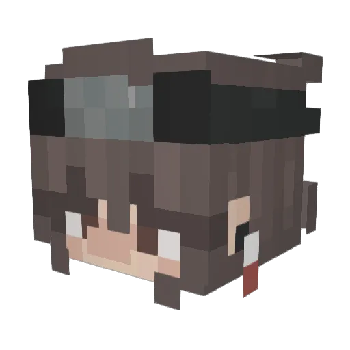 Drip4Julia Minecraft avatar head, 3D render