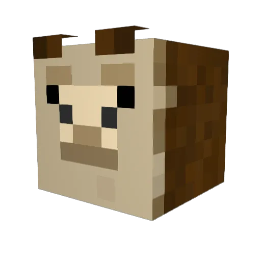 DripLama007 Minecraft avatar head, 3D render