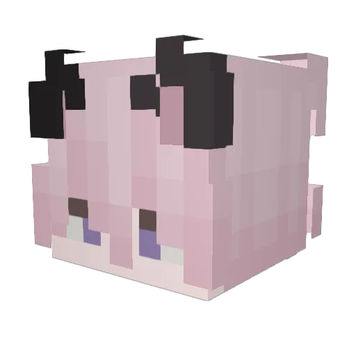 DrippedOutFellow Minecraft avatar head, 3D render