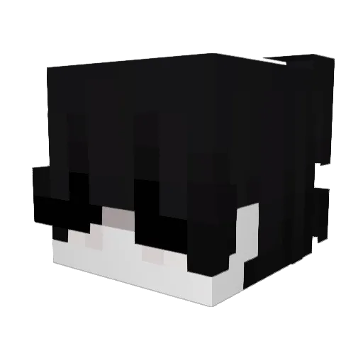 Drippy777 Minecraft avatar head, 3D render