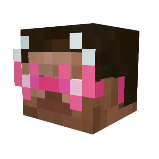 DrippyHonk Minecraft avatar head, 3D render