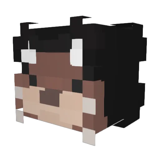 DrippyOtter Minecraft avatar head, 3D render