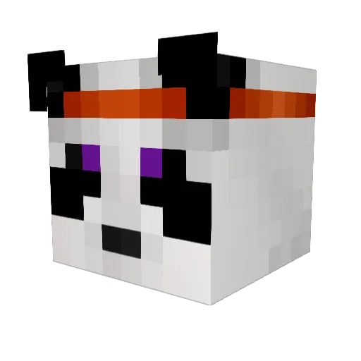 Drisi12 Minecraft avatar head, 3D render