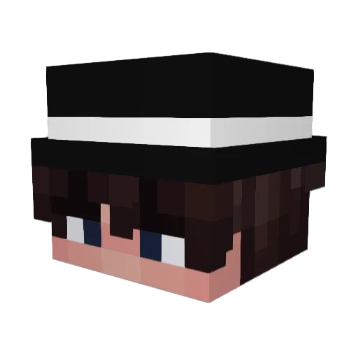 Driver0_o Minecraft avatar head, 3D render