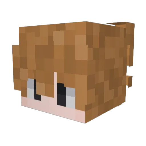 Driver1001 Minecraft avatar head, 3D render