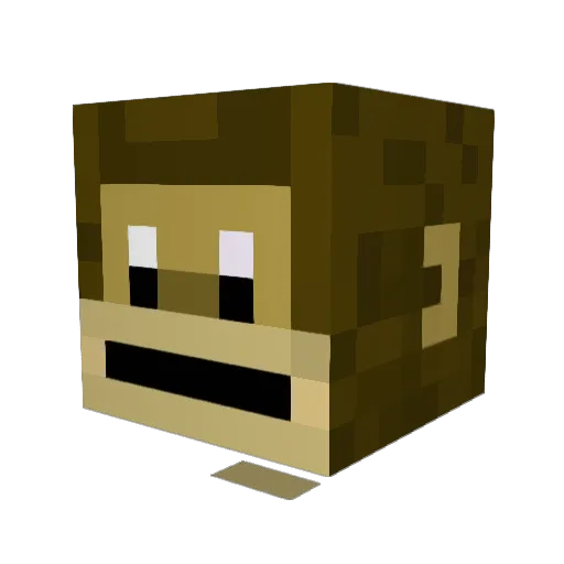 DrivingOyster14 Minecraft avatar head, 3D render